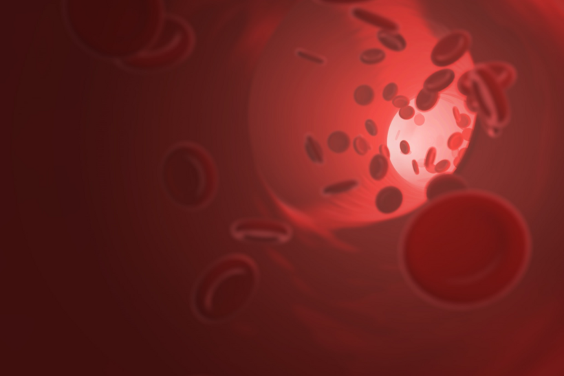 Möglicher Zusammenhang zwischen dem Blutgerinnungssystem und der Entstehung von MS